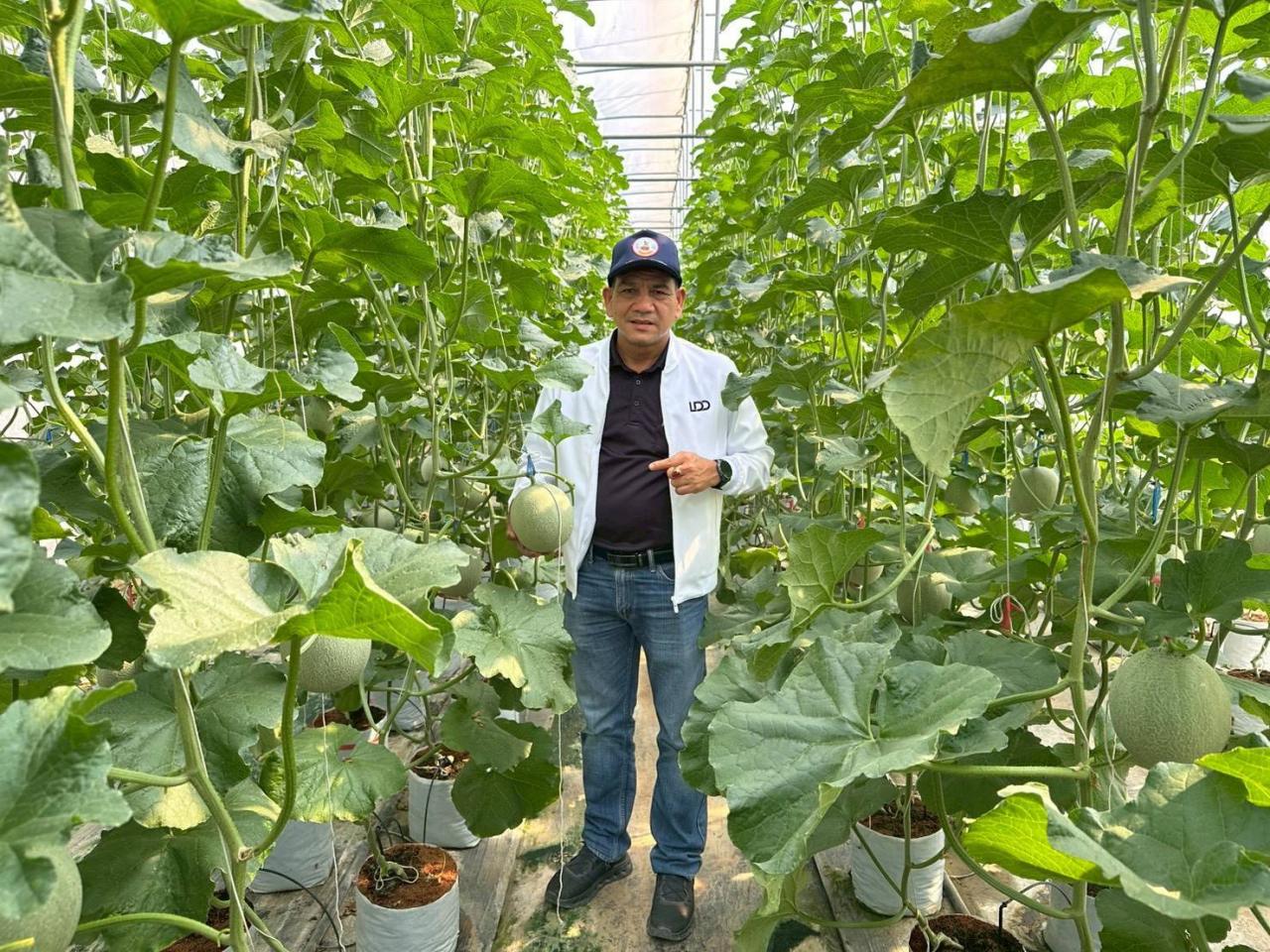 ภาพประกอบที่ 13