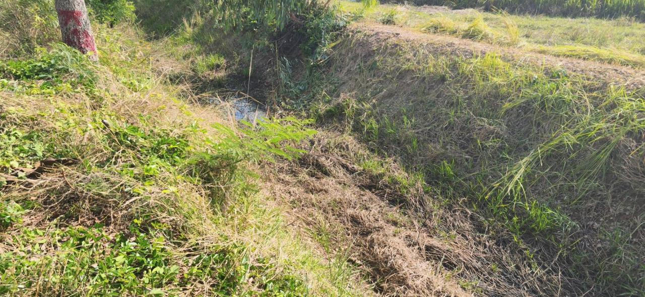 ภาพประกอบที่ 7