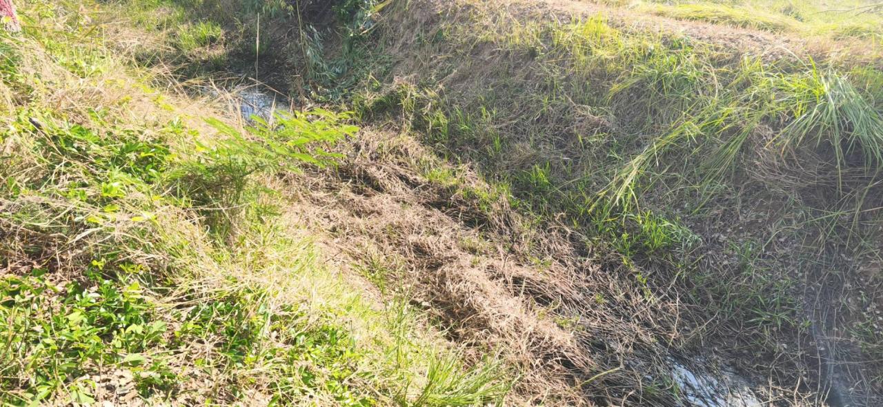 ภาพประกอบที่ 8