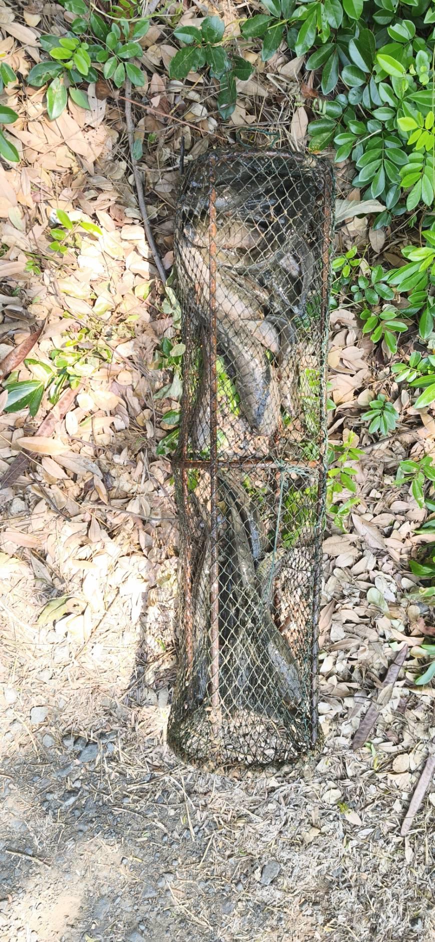 ภาพประกอบที่ 6