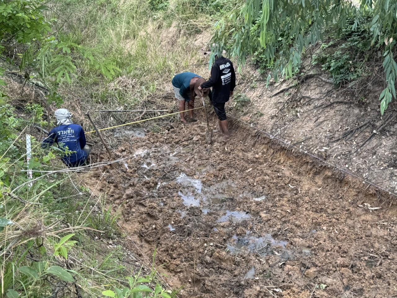 ภาพประกอบที่ 0