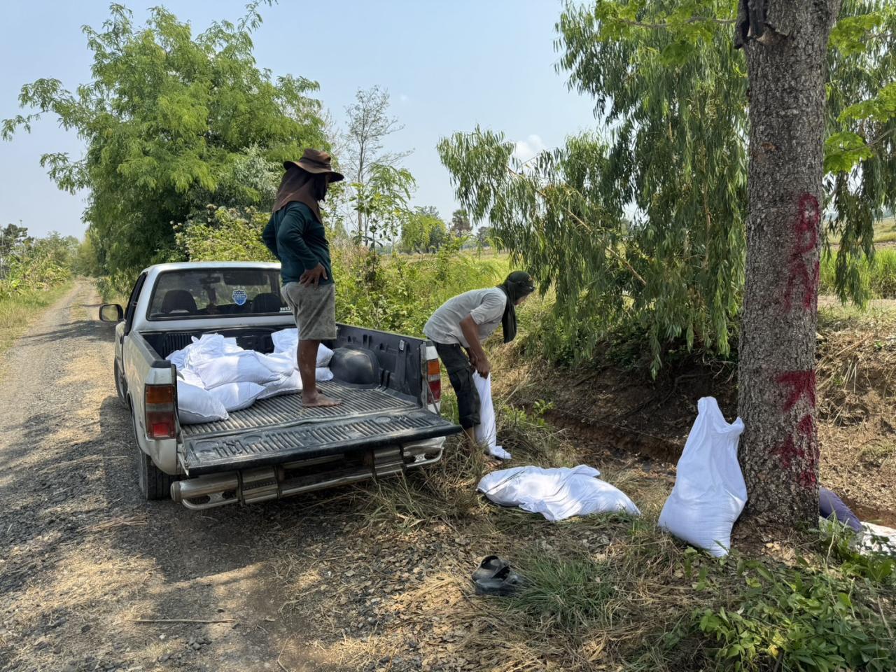 ภาพประกอบที่ 2