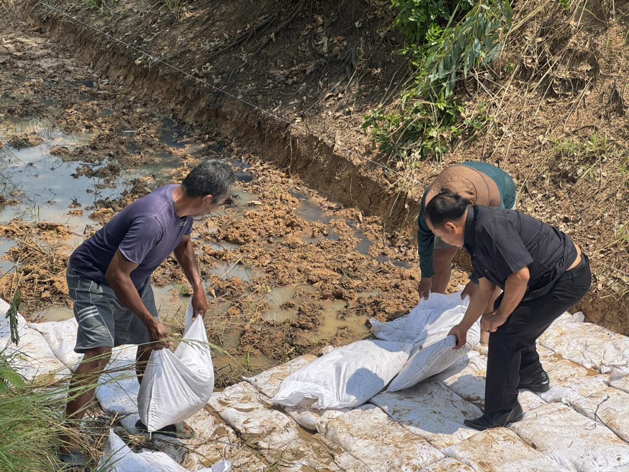 ภาพประกอบที่ 7