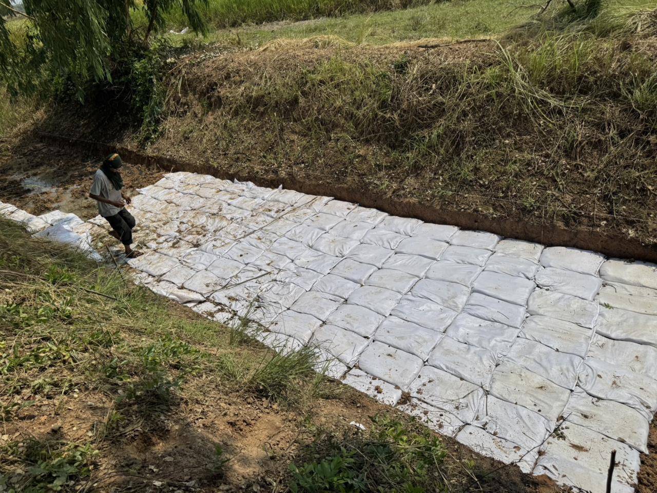 ภาพประกอบที่ 10