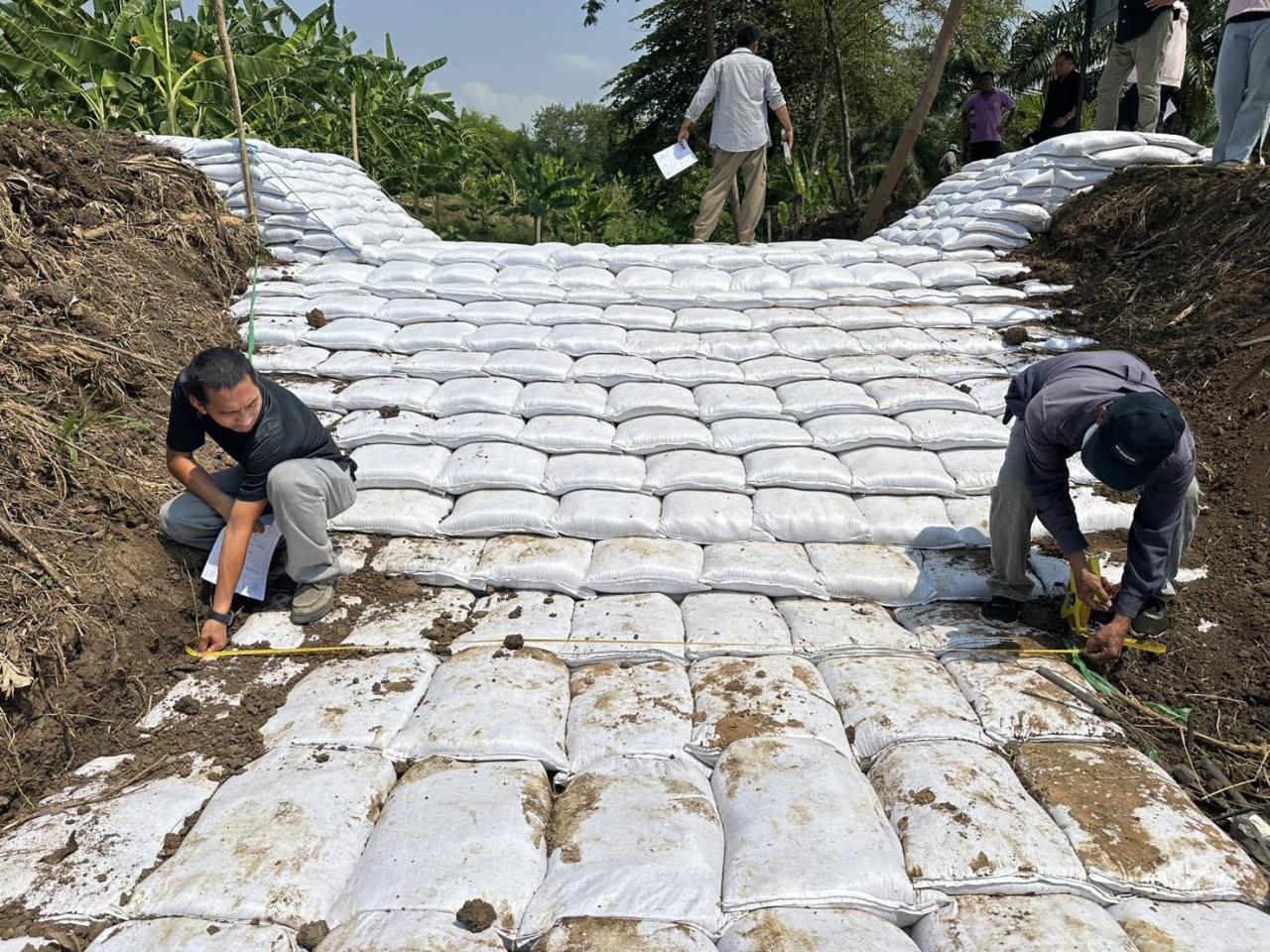 ภาพประกอบที่ 11