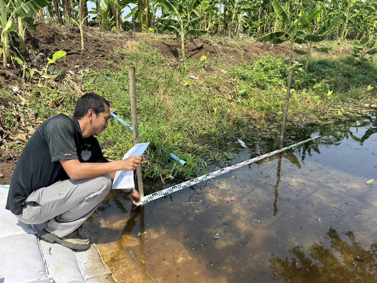 ภาพประกอบที่ 12