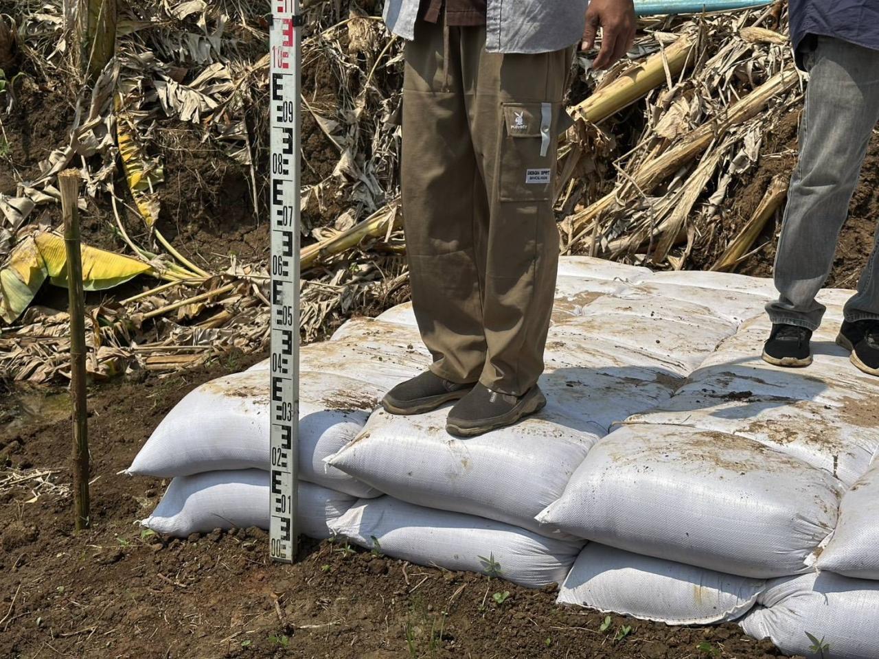 ภาพประกอบที่ 17