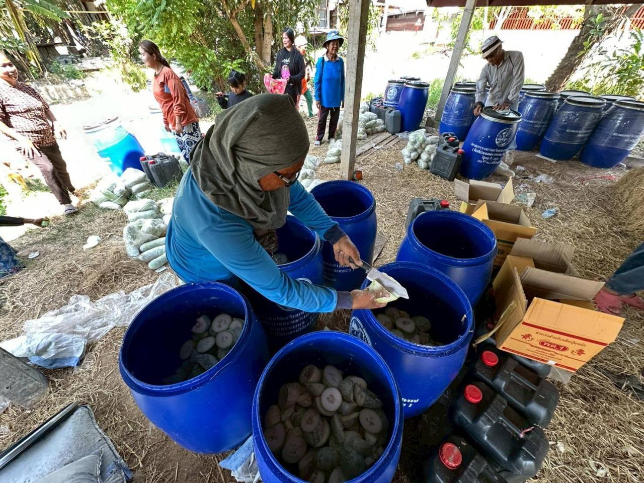 ภาพประกอบที่ 9