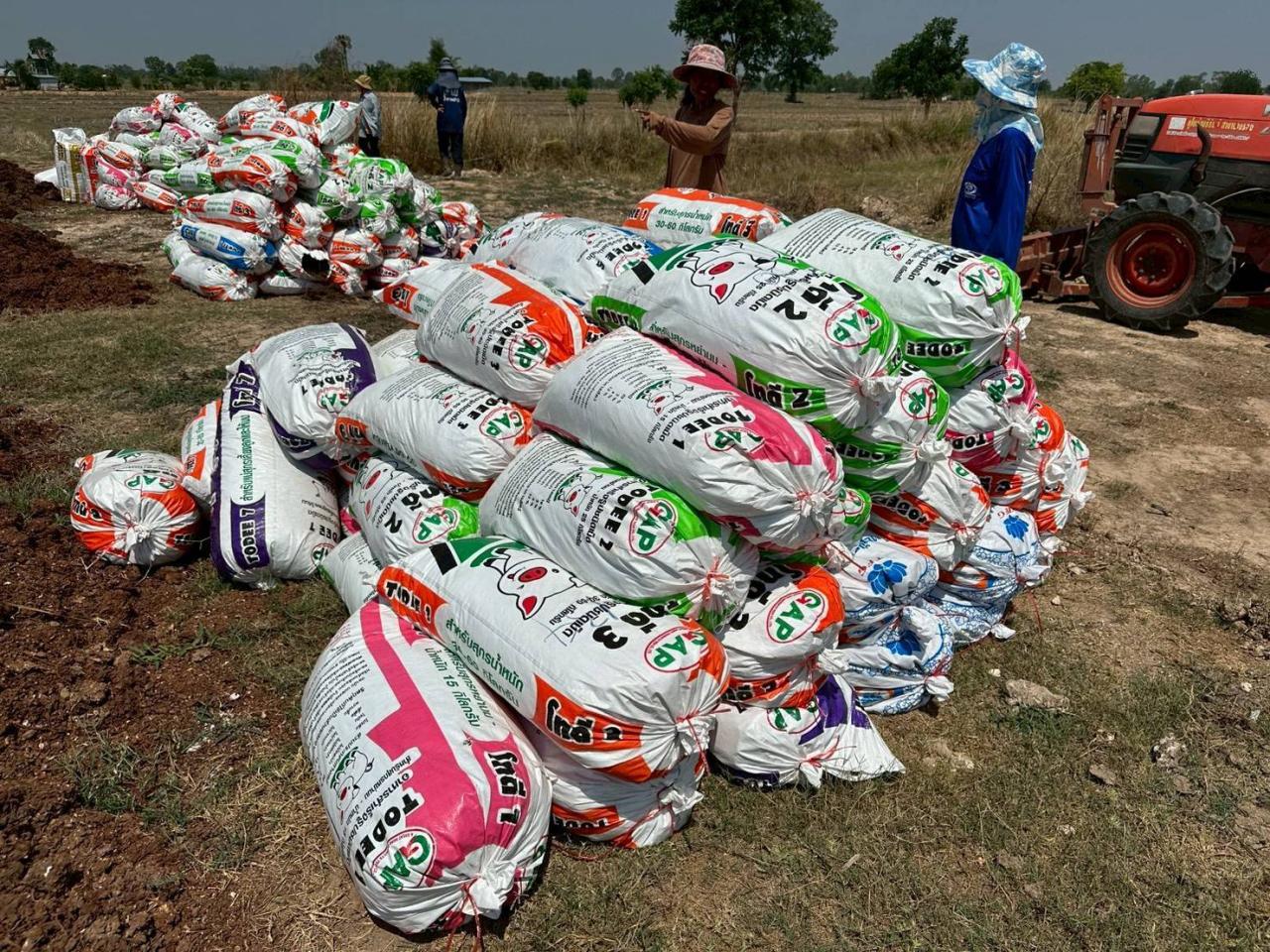 ภาพประกอบที่ 12