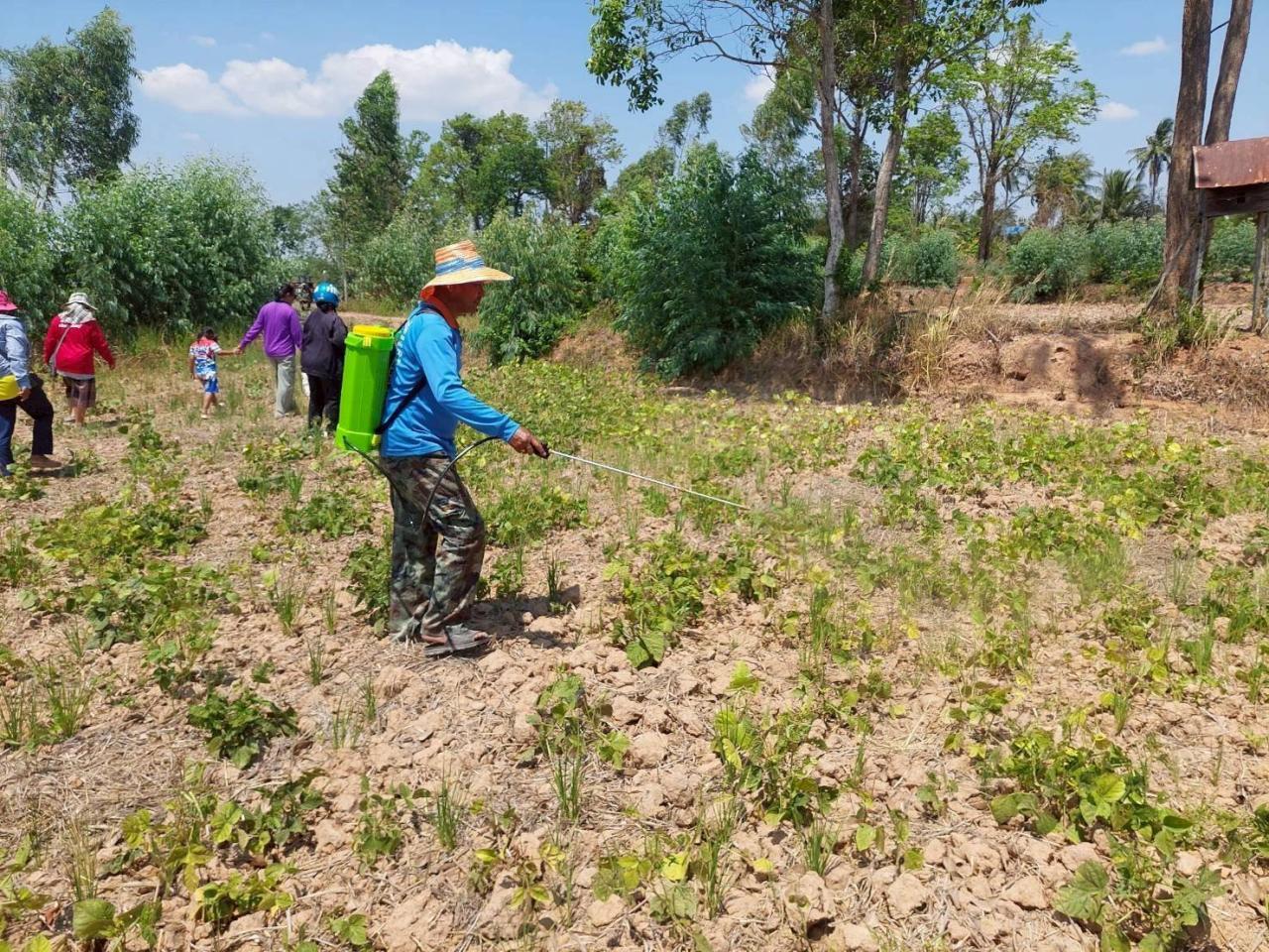 ภาพประกอบที่ 25