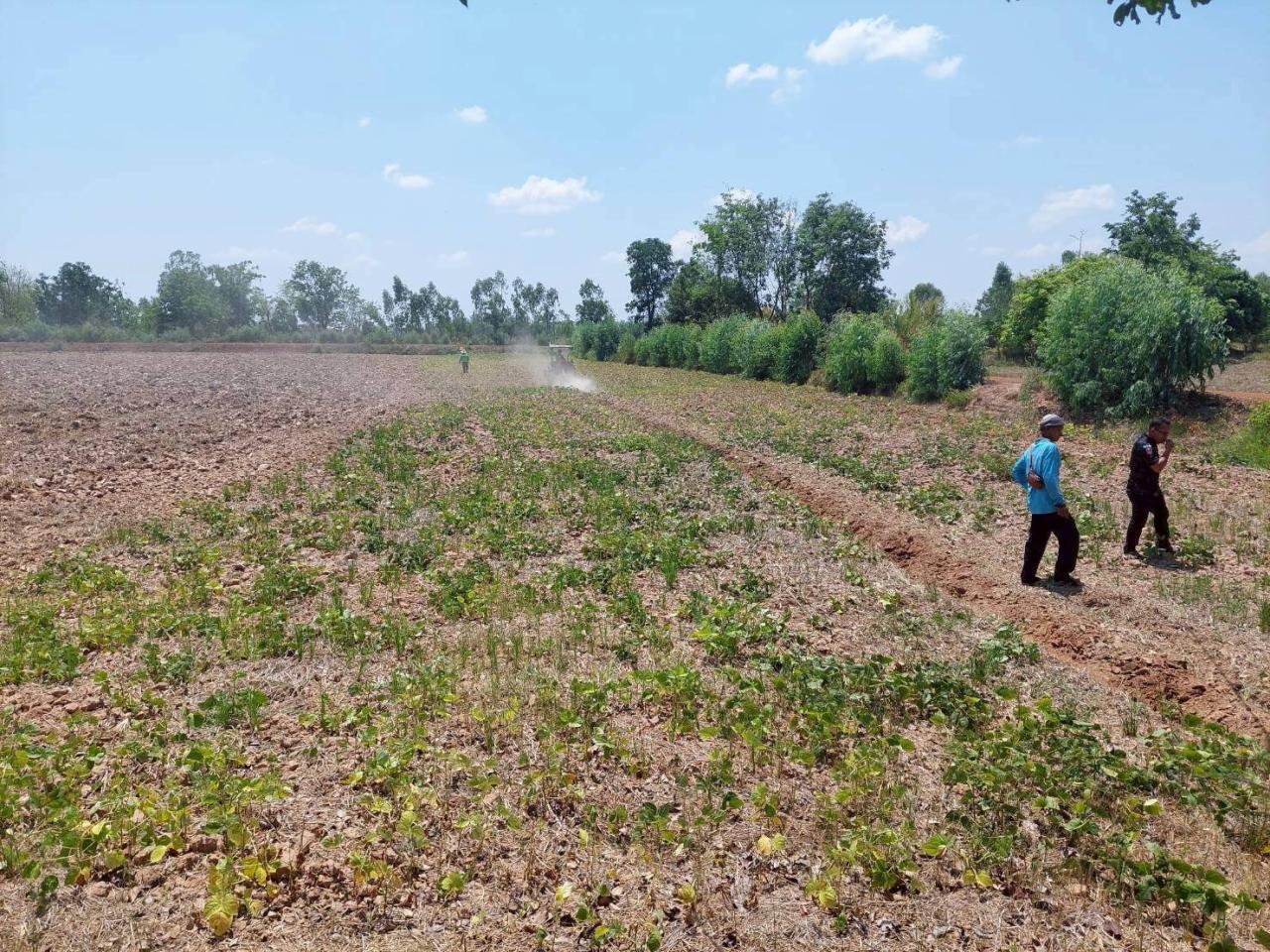 ภาพประกอบที่ 28