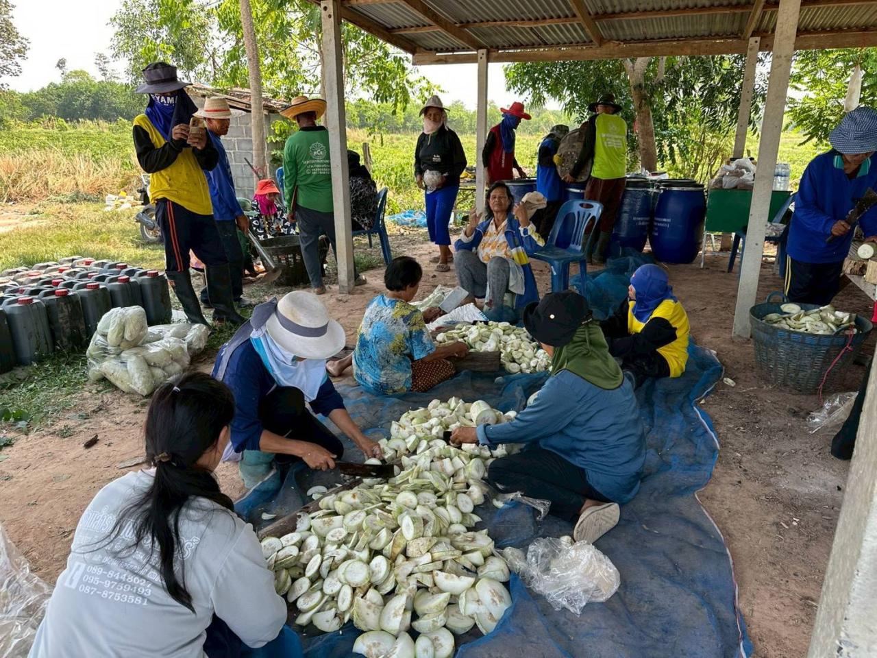 ภาพประกอบที่ 2