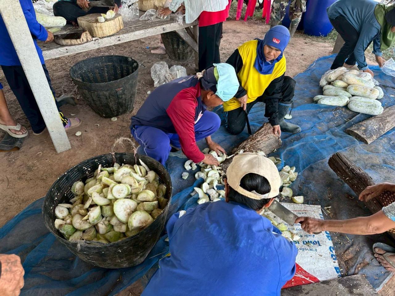 ภาพประกอบที่ 3