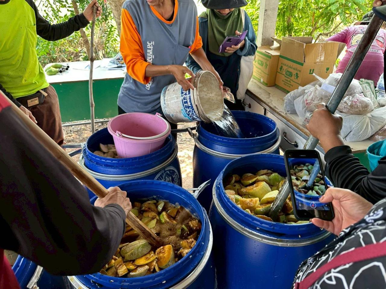 ภาพประกอบที่ 12