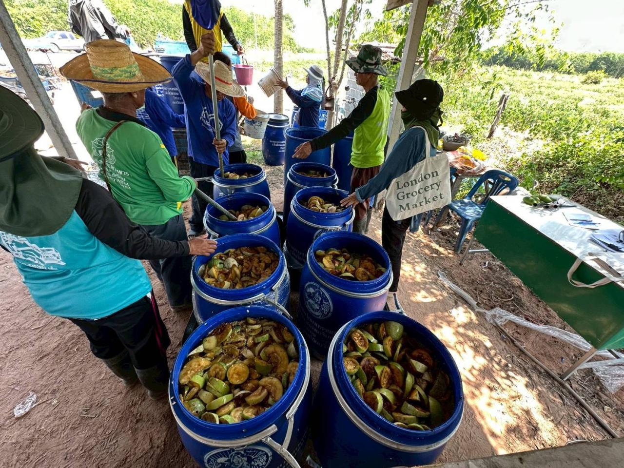 ภาพประกอบที่ 13