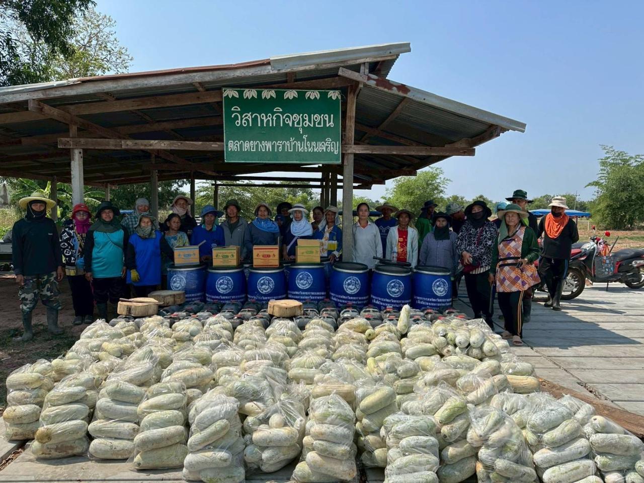 ภาพประกอบที่ 15