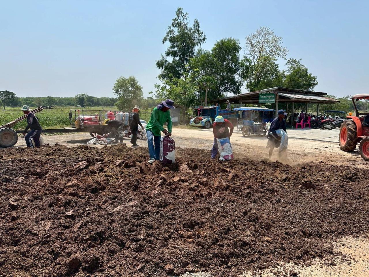 ภาพประกอบที่ 19