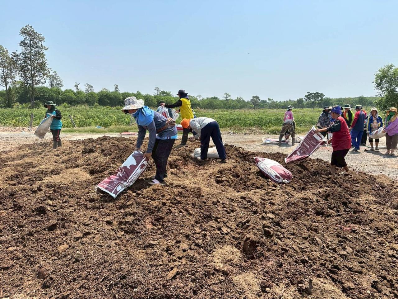ภาพประกอบที่ 21