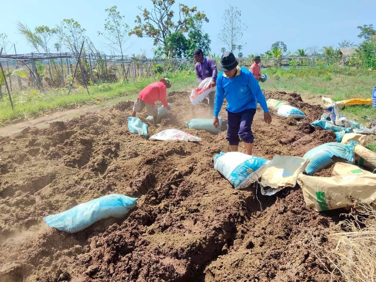 ภาพประกอบที่ 4