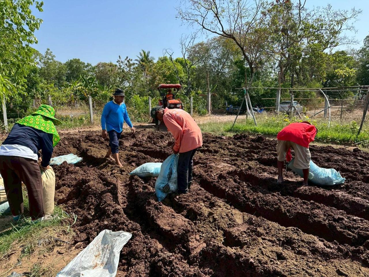 ภาพประกอบที่ 8