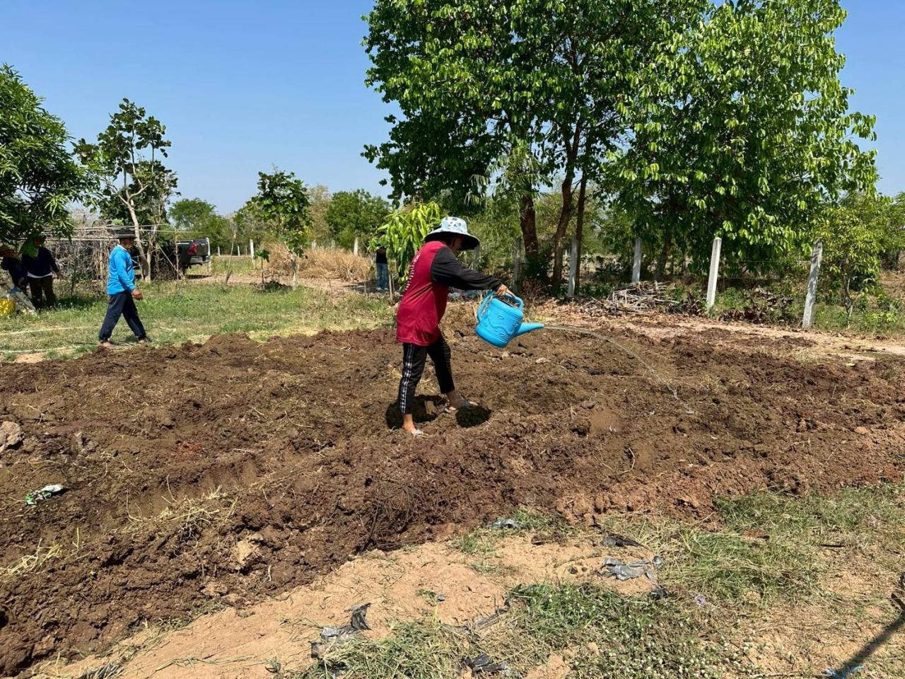 ภาพประกอบที่ 11