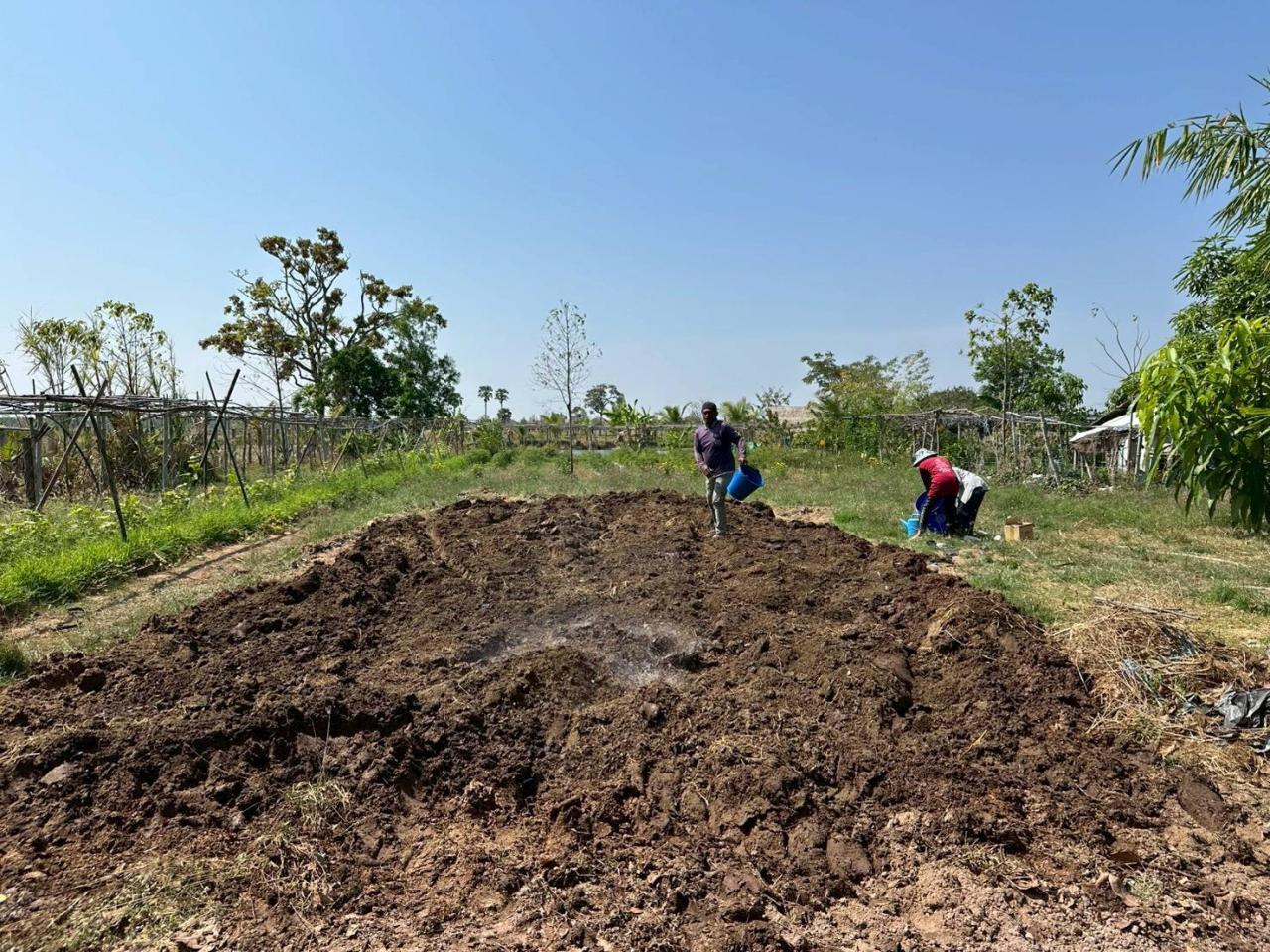 ภาพประกอบที่ 12