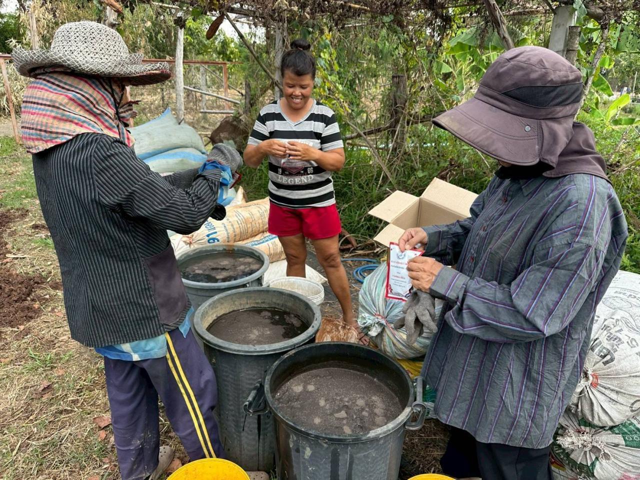 ภาพประกอบที่ 25