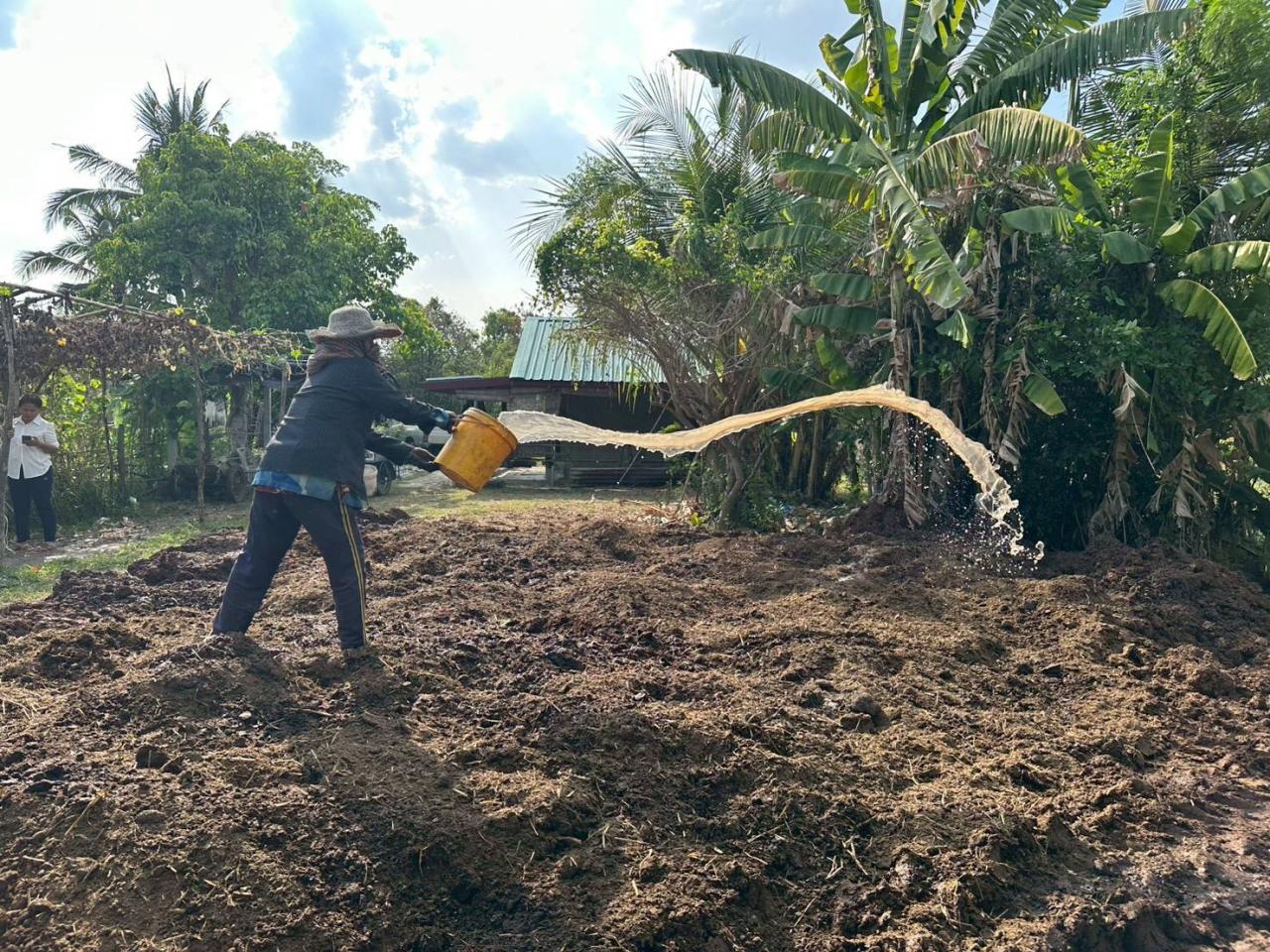 ภาพประกอบที่ 29