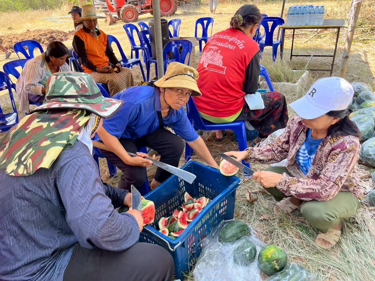 ภาพประกอบที่ 15