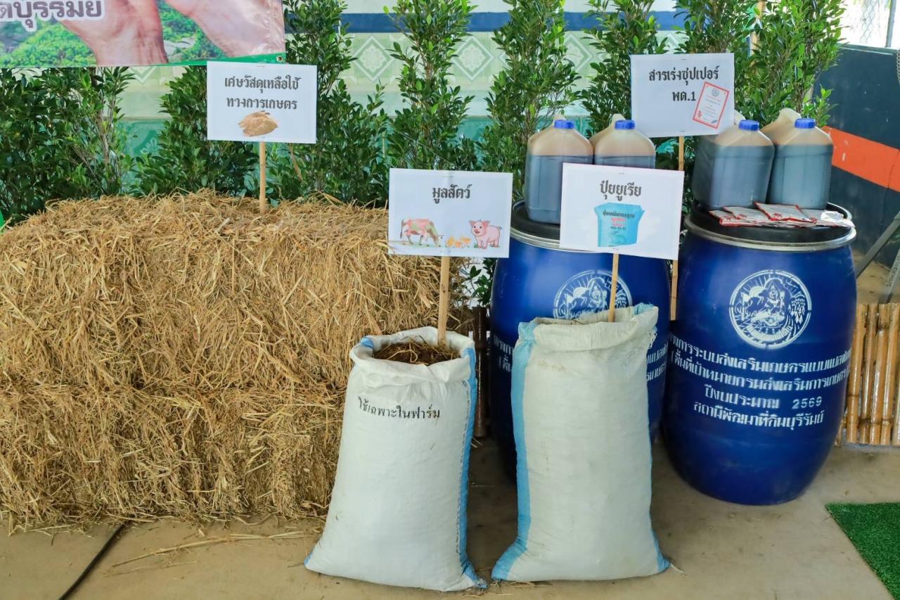 ภาพประกอบที่ 29