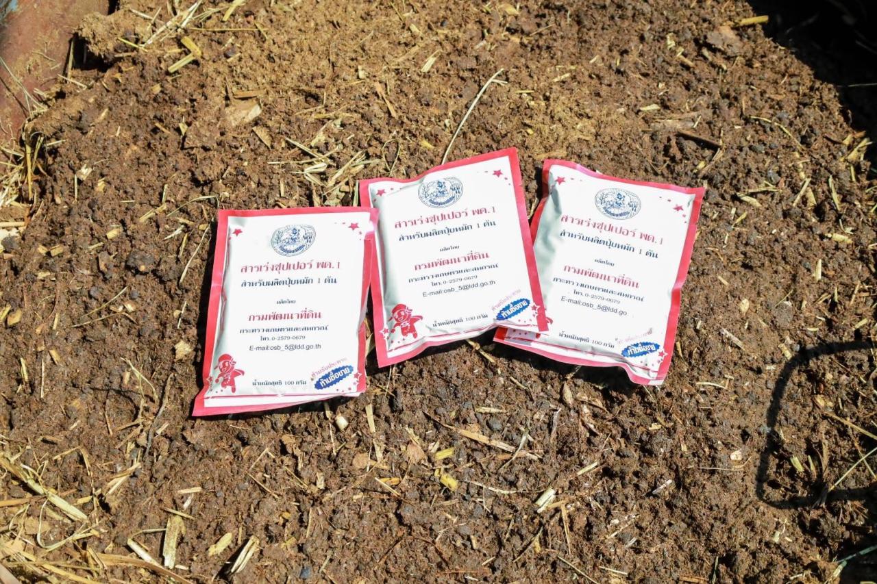 ภาพประกอบที่ 30