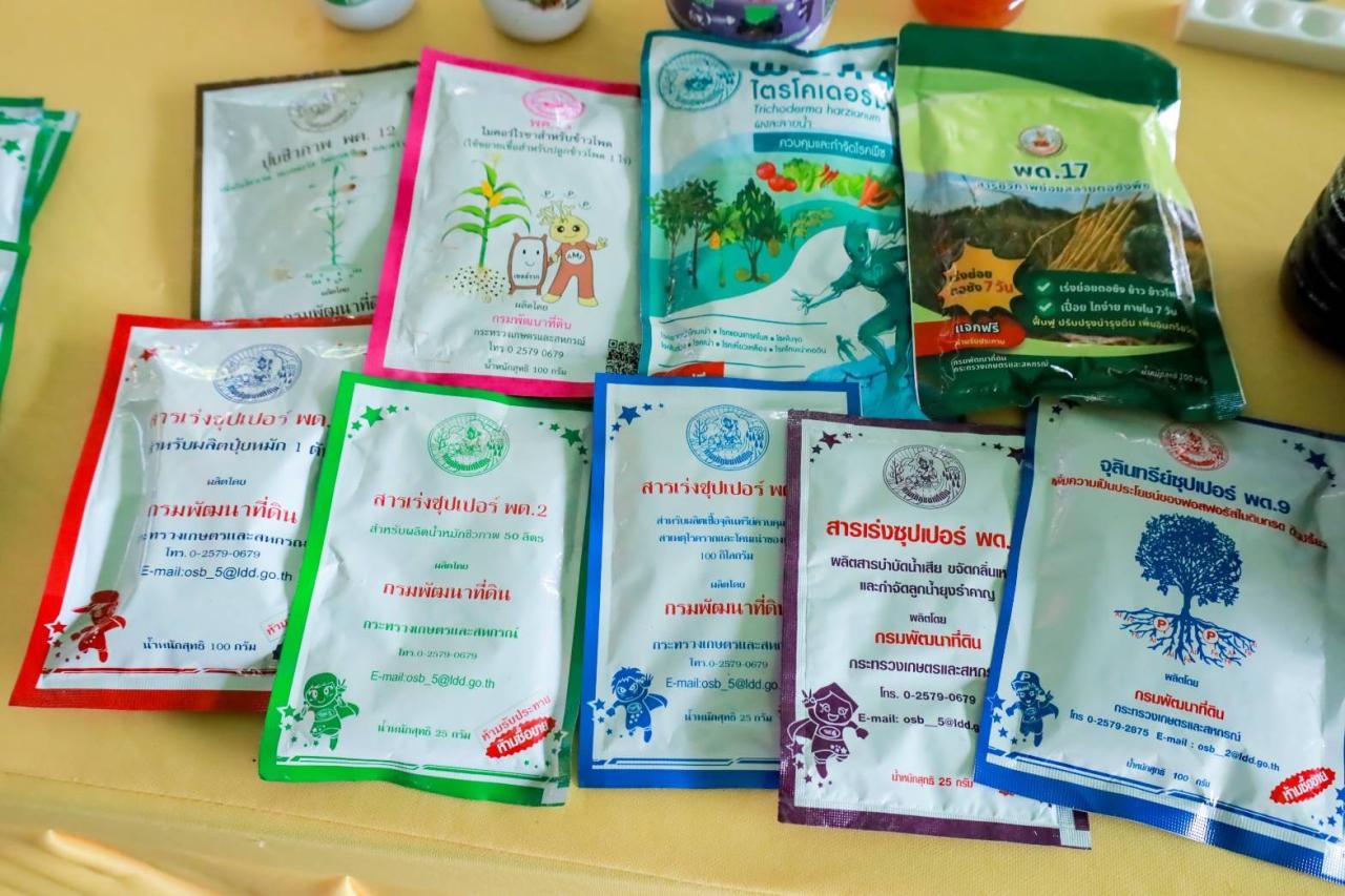 ภาพประกอบที่ 32