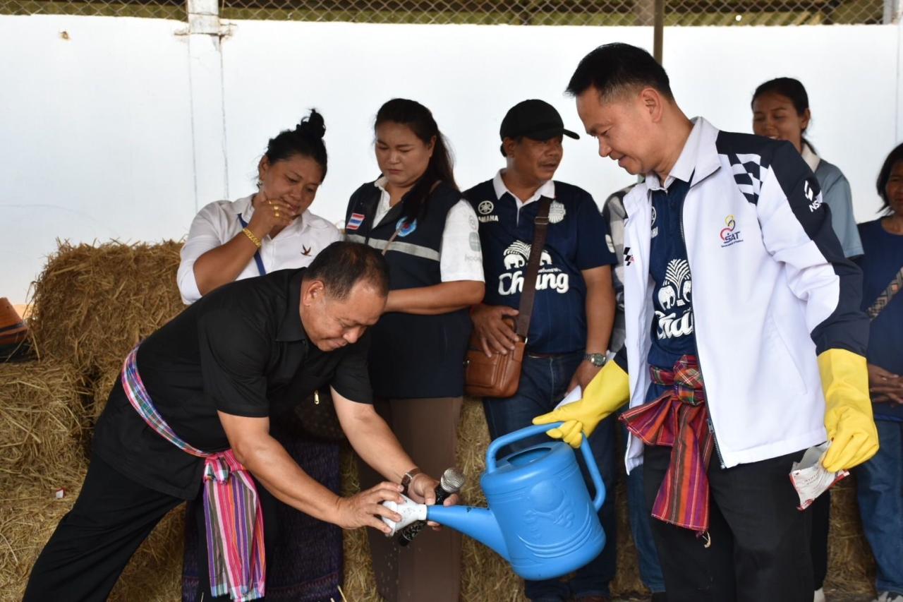 ภาพประกอบที่ 41