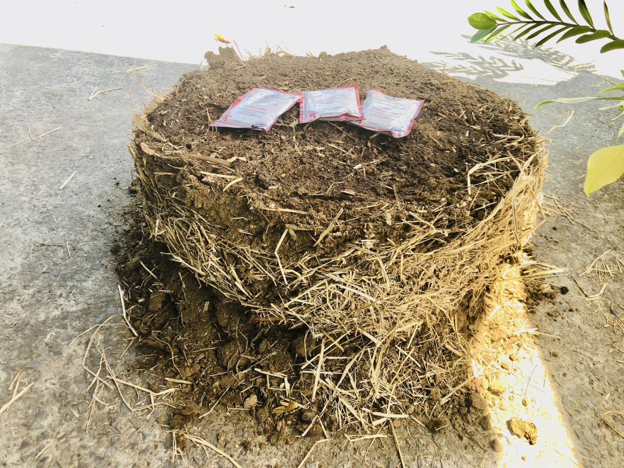 ภาพประกอบที่ 47