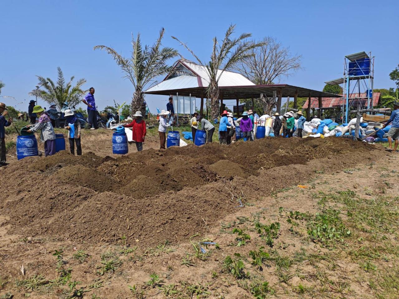 ภาพประกอบที่ 11