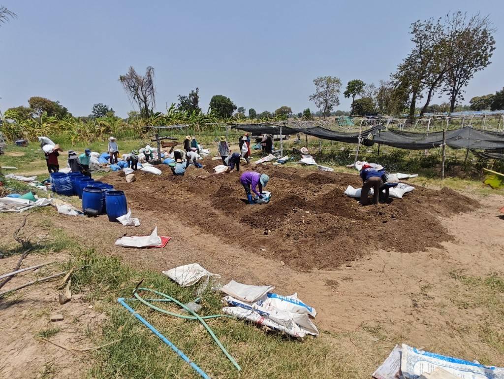 ภาพประกอบที่ 13