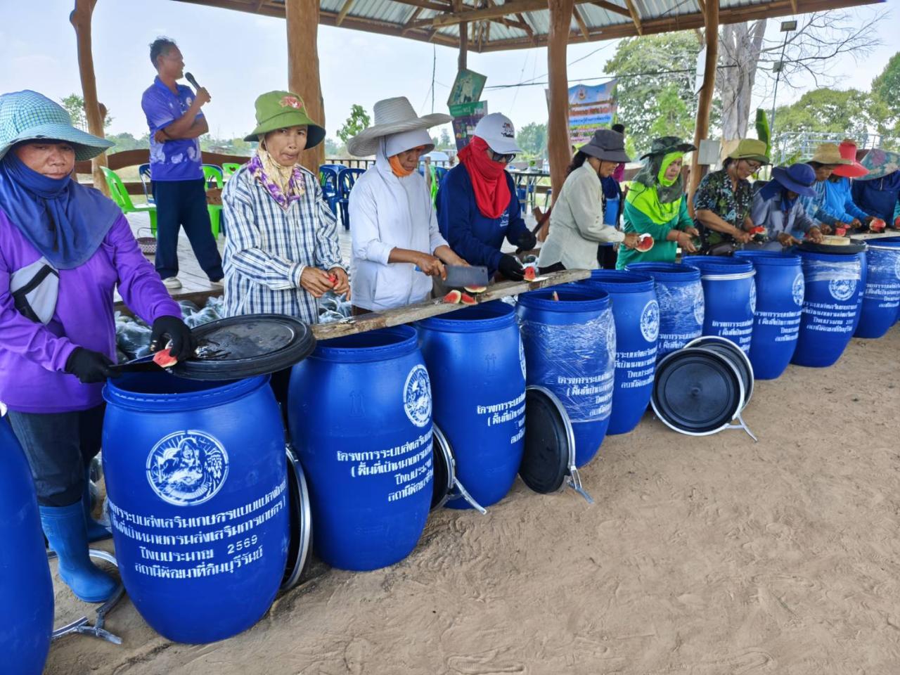 ภาพประกอบที่ 15