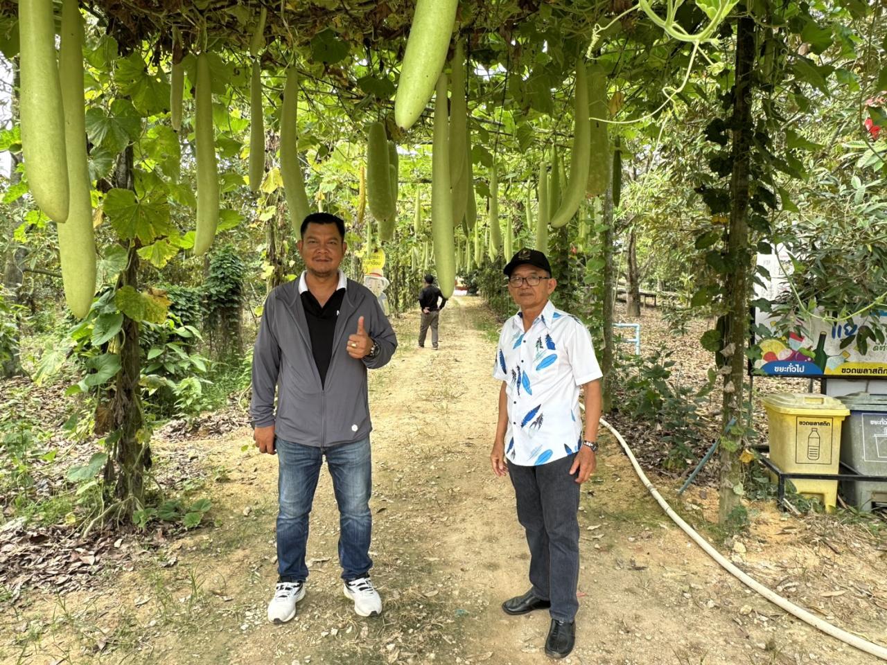 ภาพประกอบที่ 8