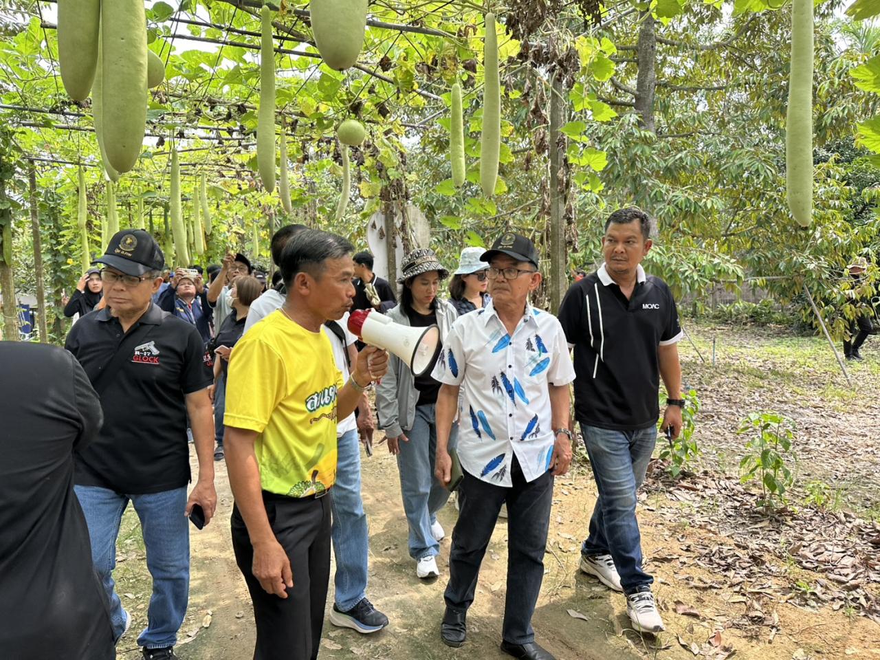 ภาพประกอบที่ 9