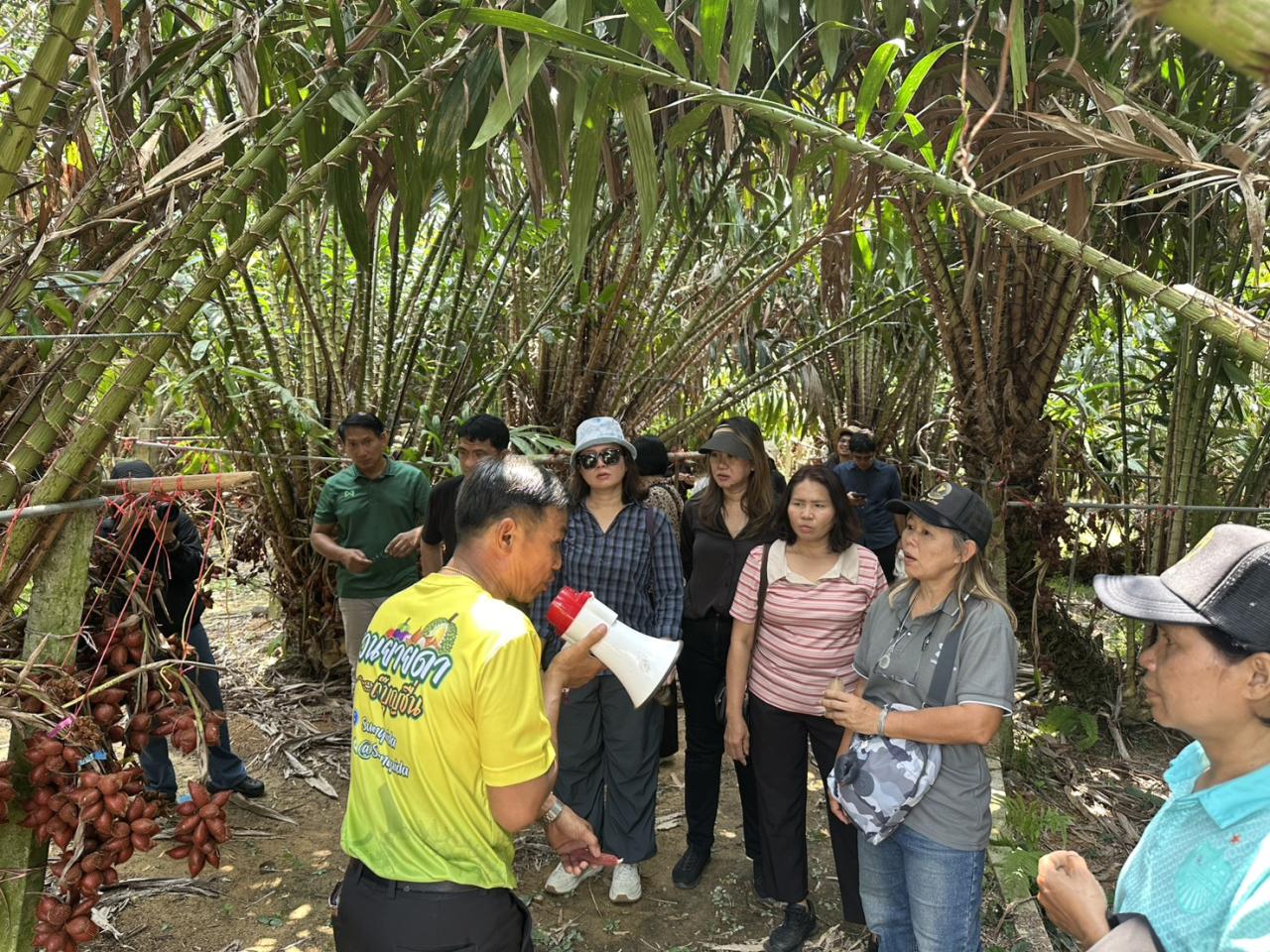 ภาพประกอบที่ 10