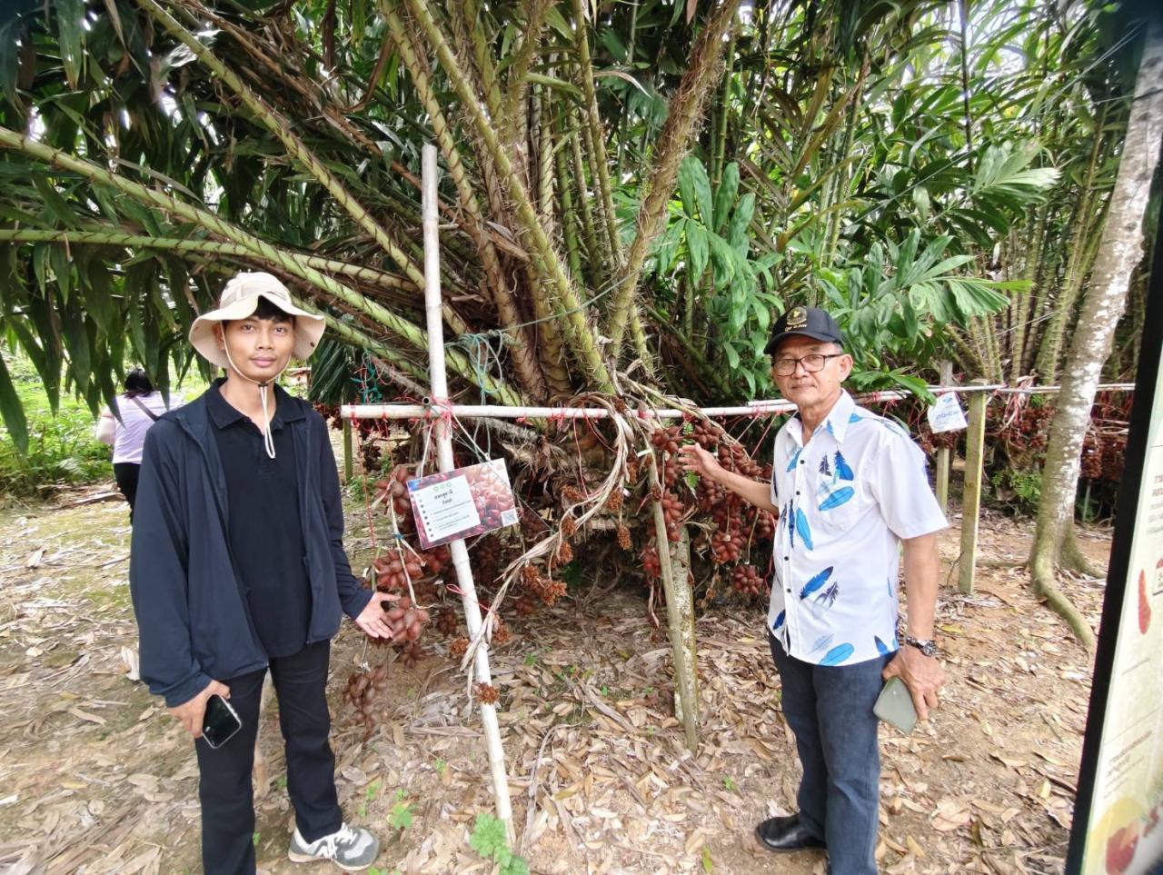 ภาพประกอบที่ 13