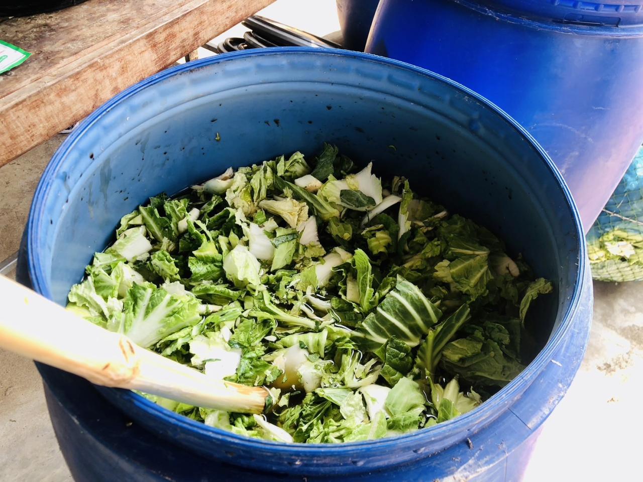 ภาพประกอบที่ 10