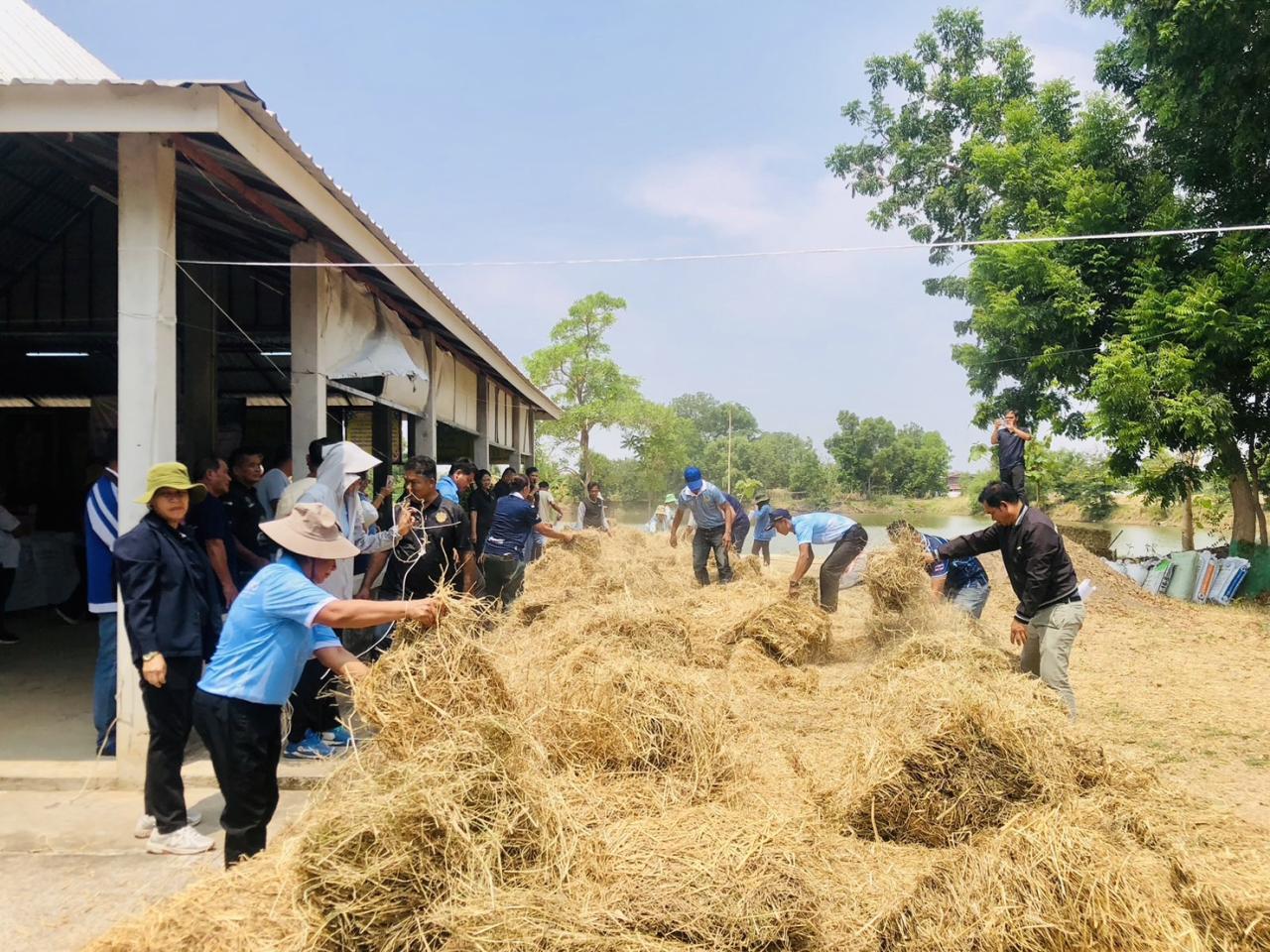 ภาพประกอบที่ 12