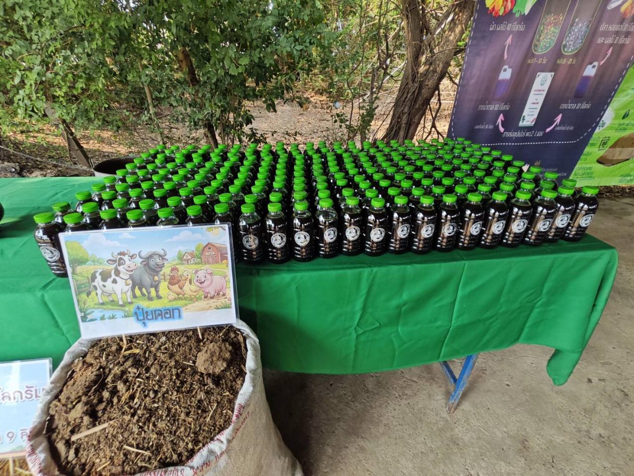 ภาพประกอบที่ 10