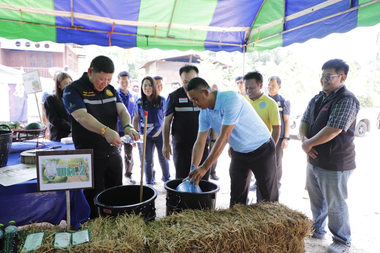 ภาพประกอบที่ 11