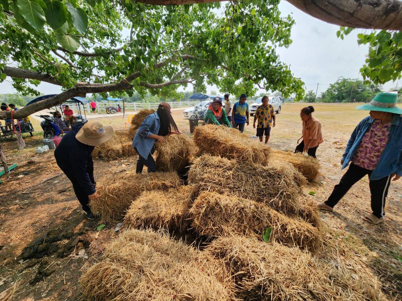 ภาพประกอบที่ 6