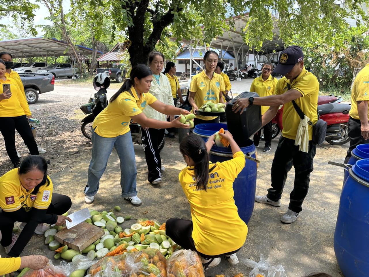 ภาพประกอบที่ 7