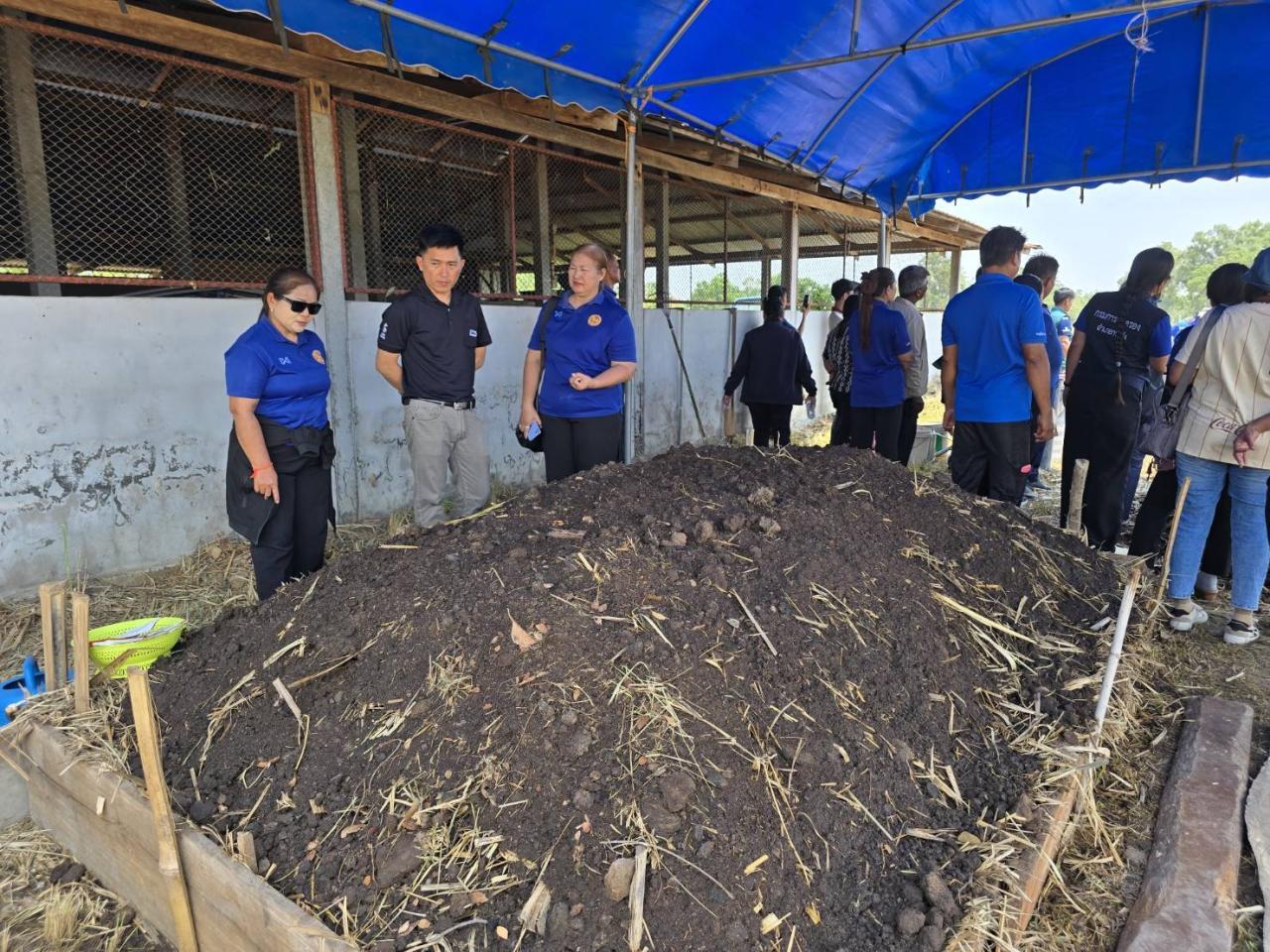 ภาพประกอบที่ 6