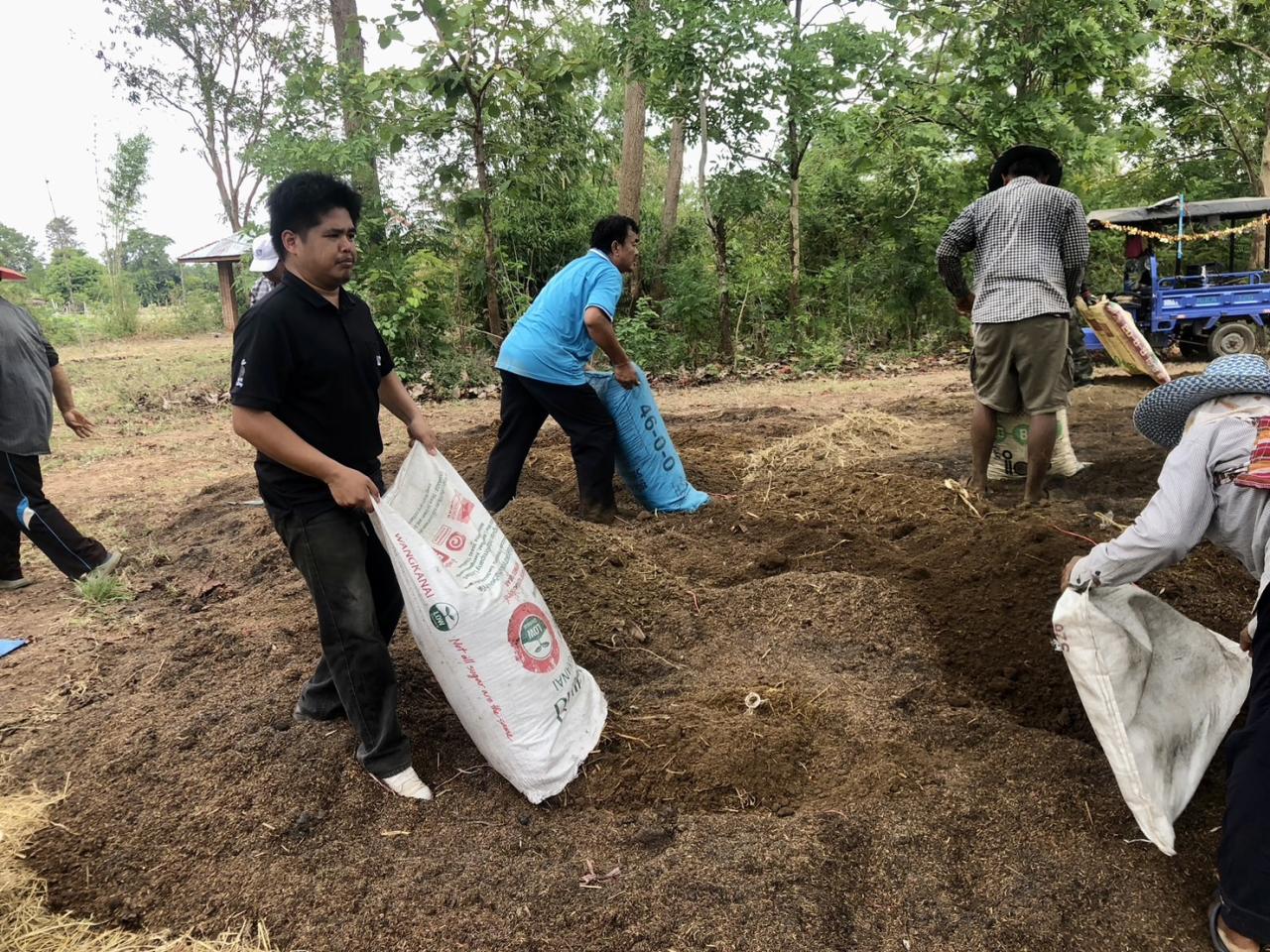 ภาพประกอบที่ 12