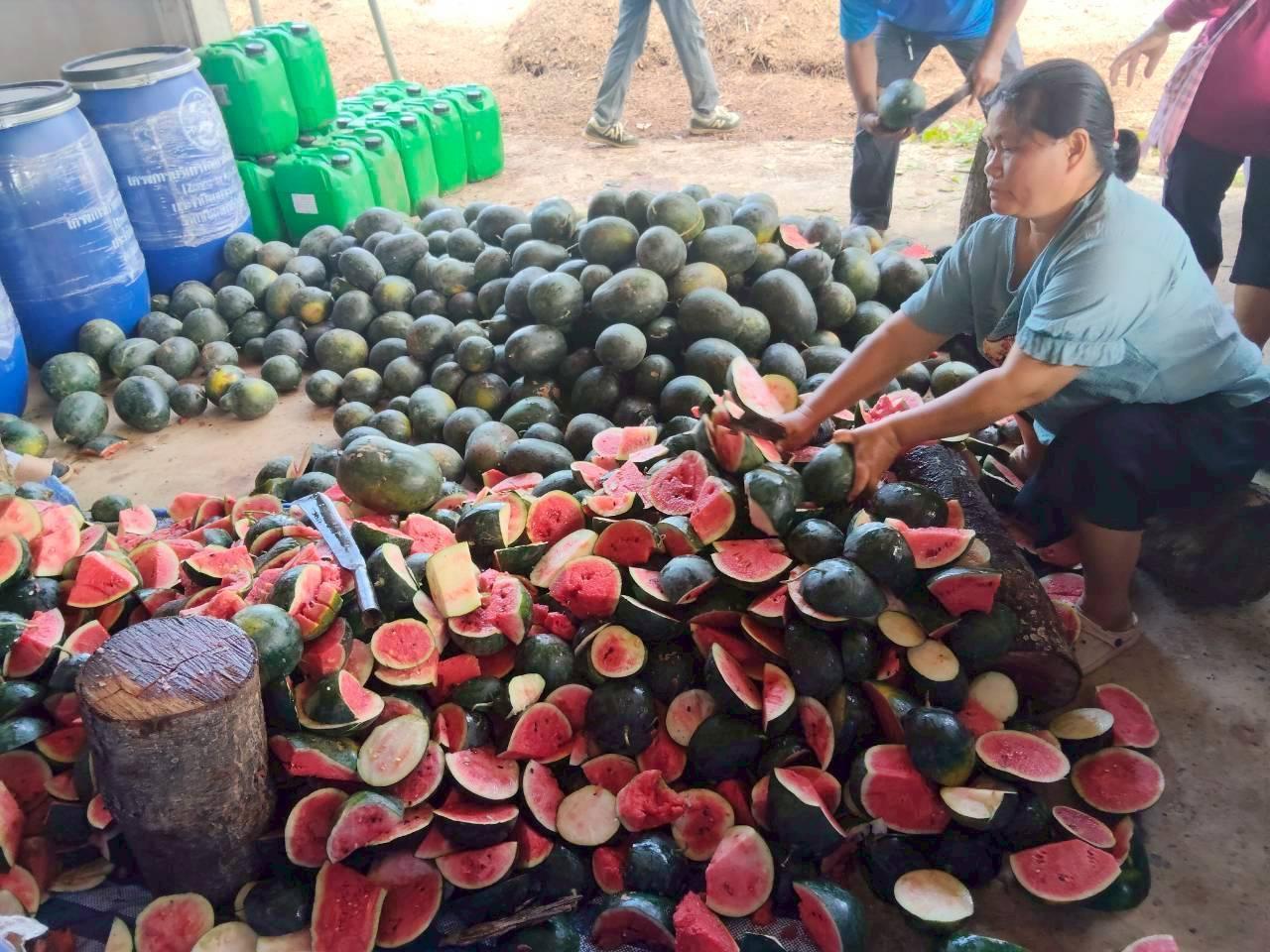 ภาพประกอบที่ 1